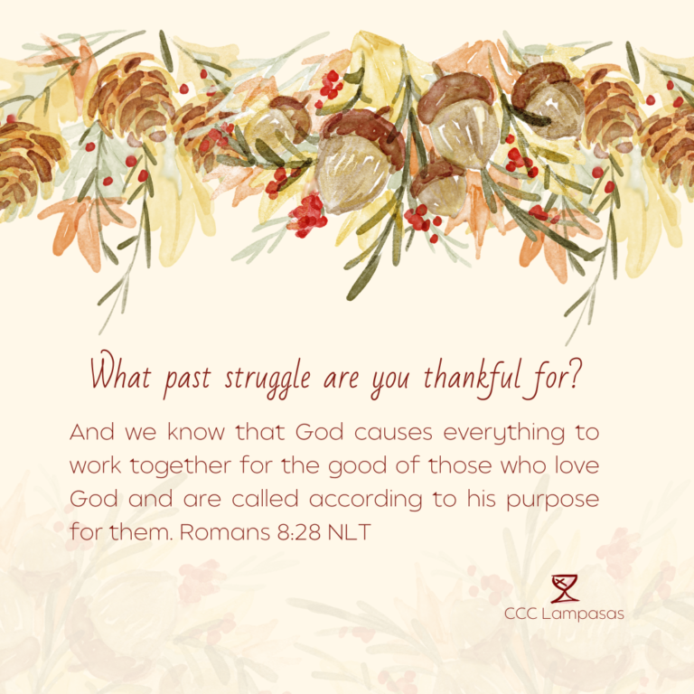 Gratitude Challenge Day 6: What past struggle are you thankful for? And we know that God causes everything to work together[a] for the good of those who love God and are called according to his purpose for them. Romans 8:28
